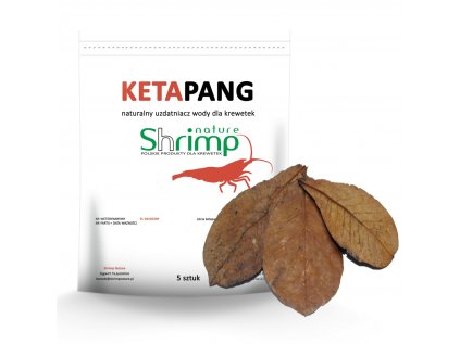 lketapang