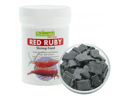 Red Ruby borneo wild