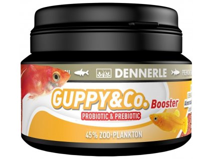 dennerle guppy