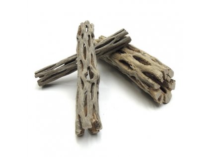 BorneoWild Cactus Wood