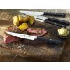 0187953 set 4 cutite friptura otel inoxidabil steak sets zwilling