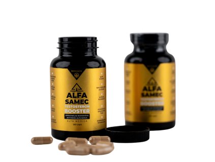 ALFASAMEC 2