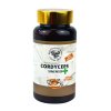 Cordyceps sinensis plus zvysenie libida energia scaled