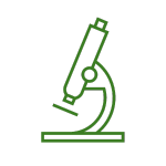 Tradice šlechtění od 1938