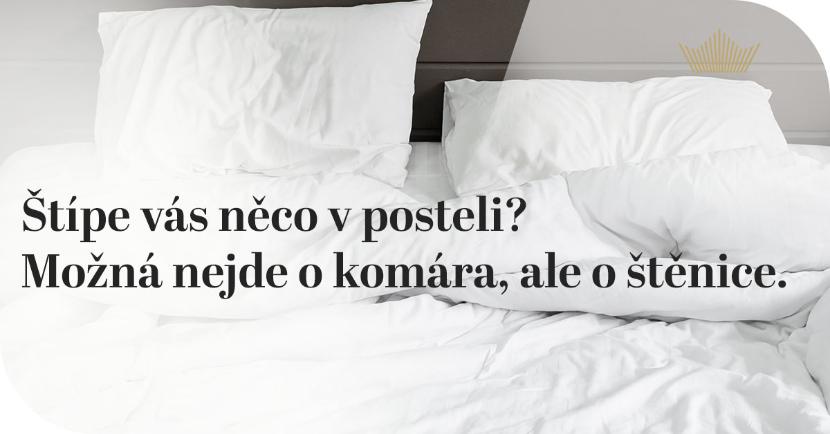 Štípe vás něco v posteli? Možná nejde o komára, ale o štěnice. Co dělat a jak situaci vyřešit?