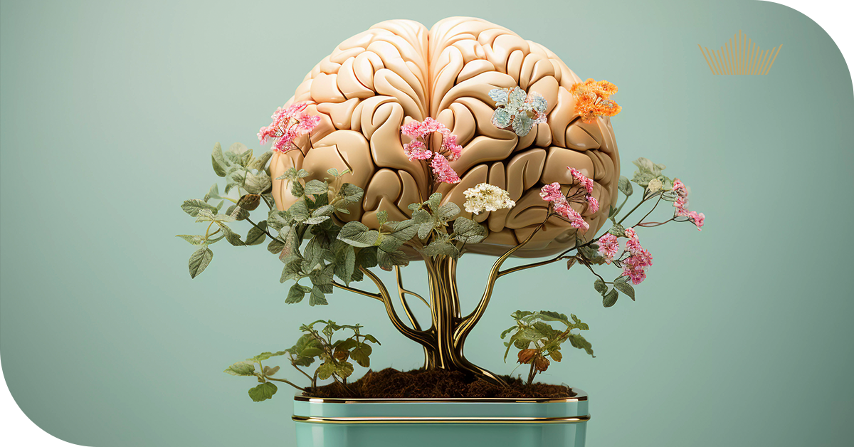 Jak spánek ovlivňuje regeneraci mozku a nervové soustavy