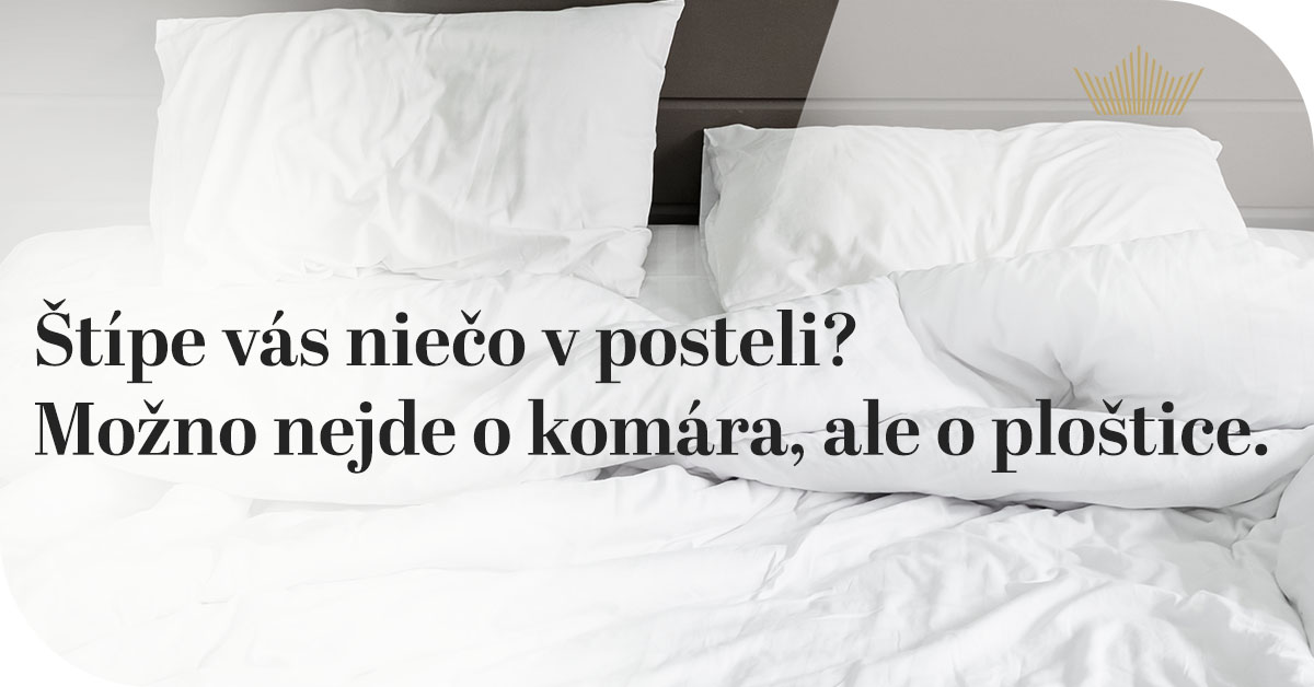 Štípe vás niečo v posteli? Možno nejde o komára, ale o ploštice. Čo robiť a ako situáciu vyriešiť?