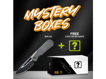 WE21033 2 MB Baloo Mystery Box(1)