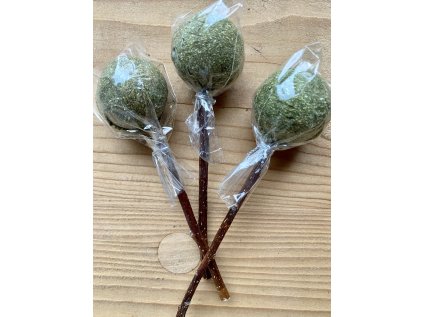 CD40EAA1 8838 40F5 A39F 81DA66E8362A