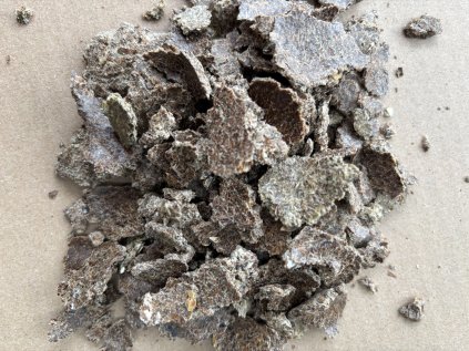 Vločky z ostropestřece