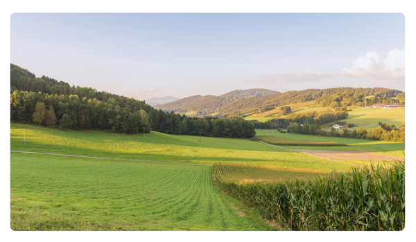 Horské lúky s pastvinami a prírodnou krajinou