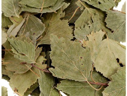 3B2DF82A EEF5 41E2 B773 789E77A9ADC8