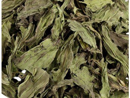 EB04CAF2 058E 4F9D B9BD 3224FFE8732C