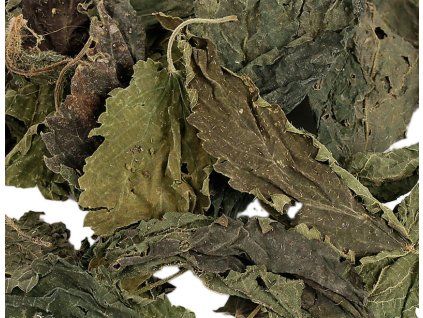 64DCD080 ED93 400E A08D 6C45E2FC77F8