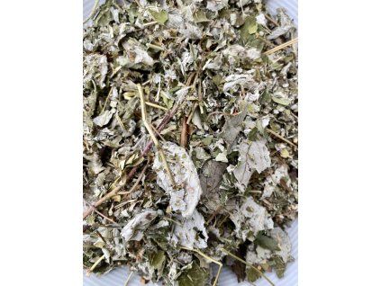 D1F65CD8 62F4 4409 BECC BE621A3A532B