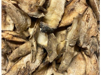 FE00508F D020 4F07 A77D 5EE82ADDEEC2