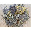 18557444 C242 4639 8284 1D9B313EBE42