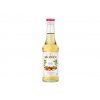 Monin Lískový oříšek 0,25 l