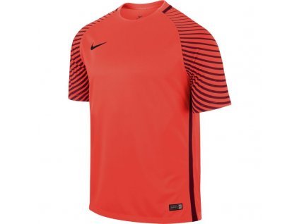Pánske tričko Gardien M 725889-671 - Nike