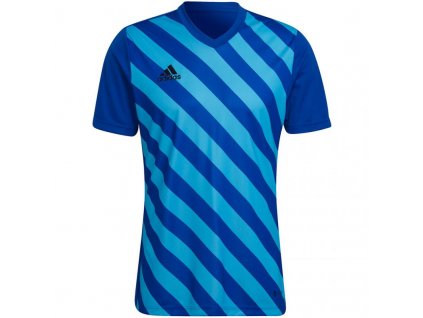 Pánsky dres Entrada 22 Graphic Jersey M HF0116 - Adidas