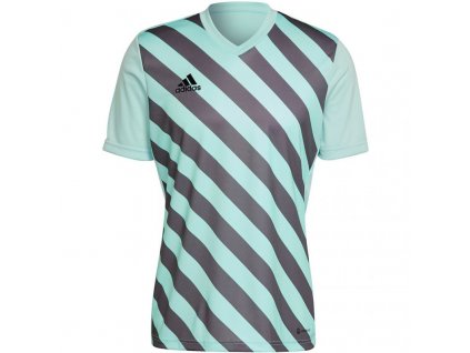 Pánsky dres Entrada 22 Graphic Jersey M HF0119 - Adidas