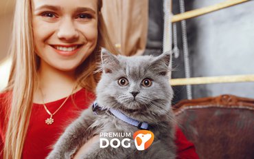 Aké zvieratko je vhodné do bytu? Toto je náš výber!