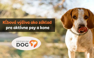 Kĺbová výživa ako základ pre aktívne psy a kone