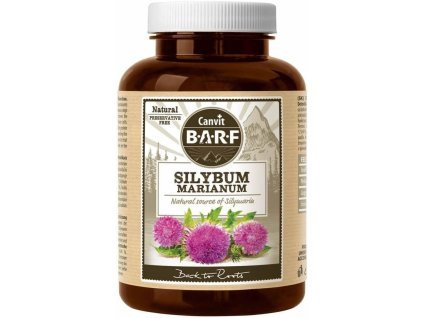 c587ba89cb1ceeb0f07369e8f8450c56