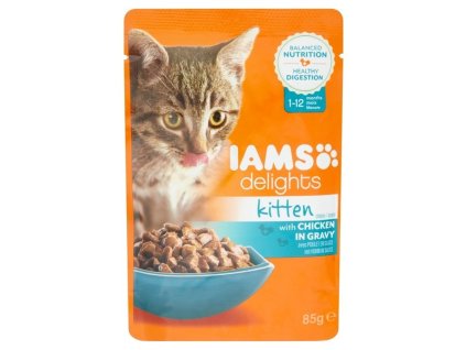 iamscat16