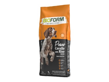 Best 20kg Power cavallo