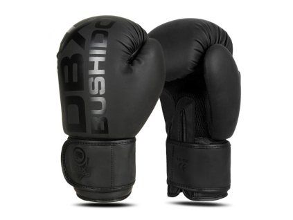 B-2V21 10 OZ BOXERSKÉ RUKAVICE DBX BUSHIDO