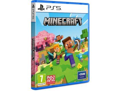 PS5 Minecraft