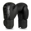 Boxerské rukavice DBX BUSHIDO B-2v21 10oz - obrázok 1
