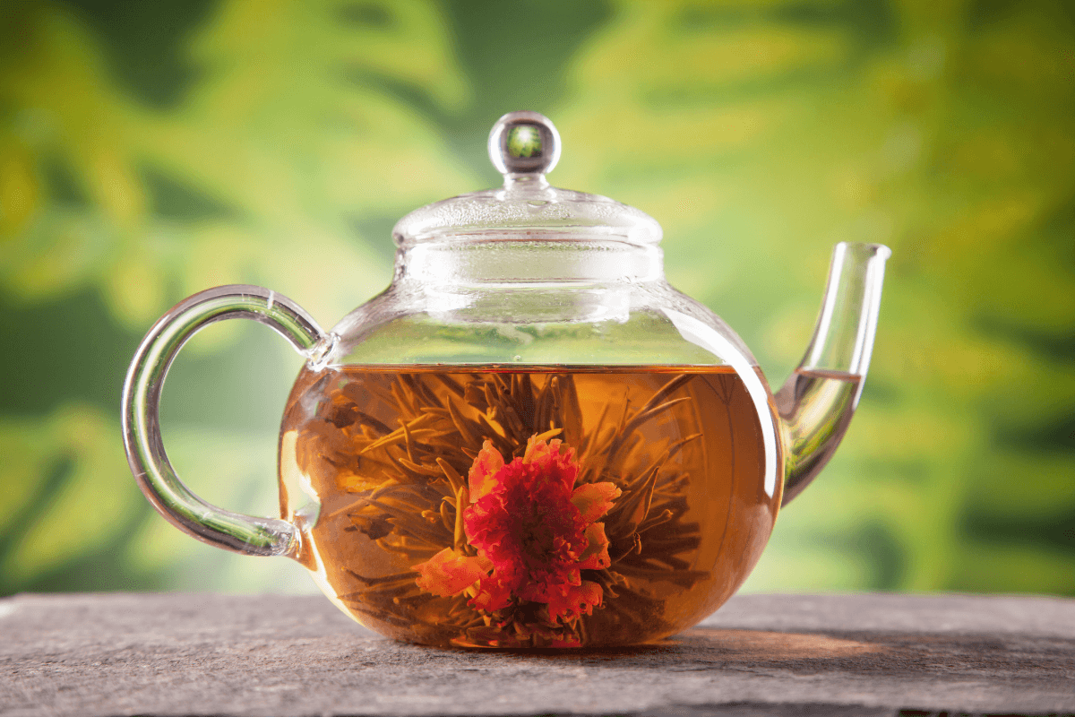 Kvetoucí čaj zajímavosti a fakta