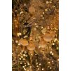 světlo 2
