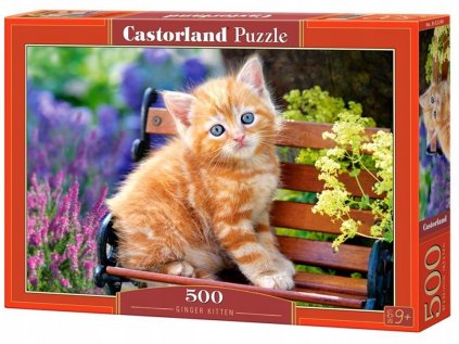 500EL Puzzle. Rudy Kitty Castorland