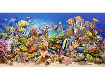 Puzzle 4000 podvodný život pod vodou Life Fish 089