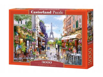 3000 prvkov puzzle. Posilňovacia Paríž