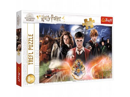 Puzzle 300 EL - Secret Harry Potter 23001