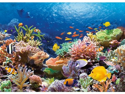 Puzzle Coral Reef Fish Sea 9+ 1000 Castor