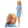 Barbie Ghr58 Dreamhouse Adventure Doll