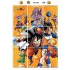 Dragon Ball Syn Goku Super Saiyan Vegeta TCG Card