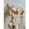 Plyšový psík béžový, 35 cm Plush Toy 35cm 353 11 kópia