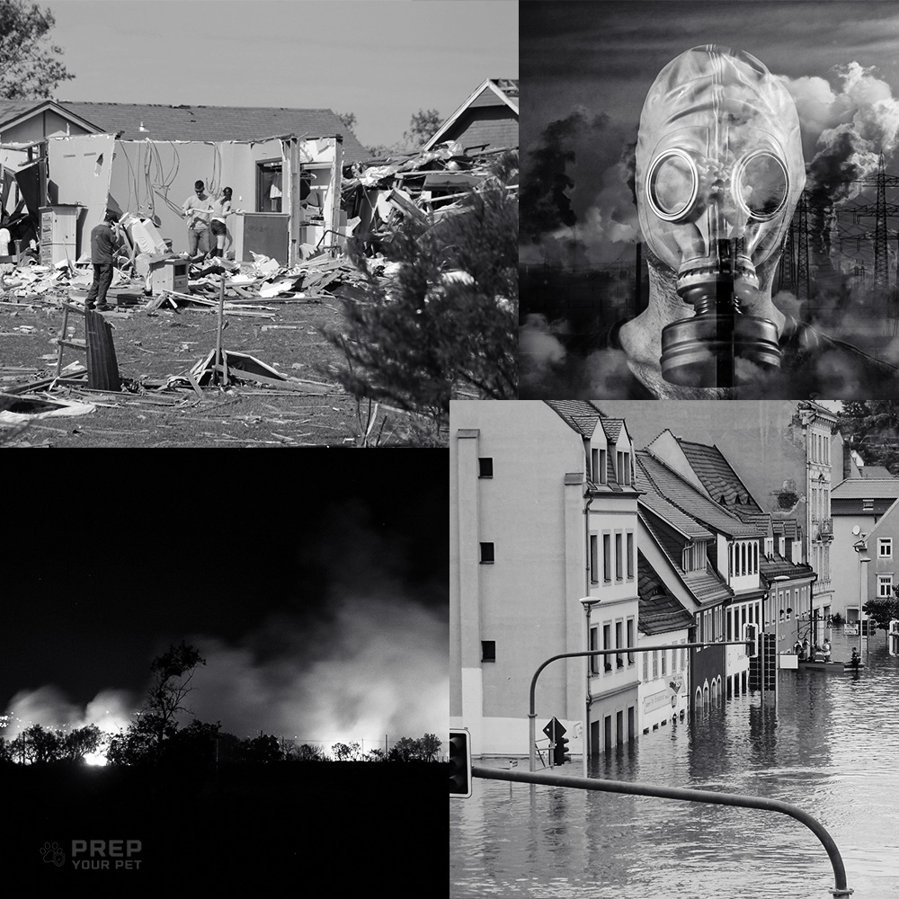 Příprava evakuačního plánu