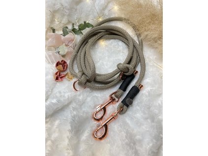 Elegans2