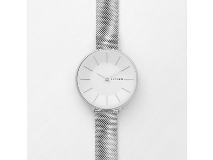 Skagen Karolina SKW2687