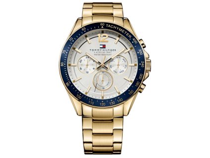 TOMMY HILFIGER LUKE 1791121
