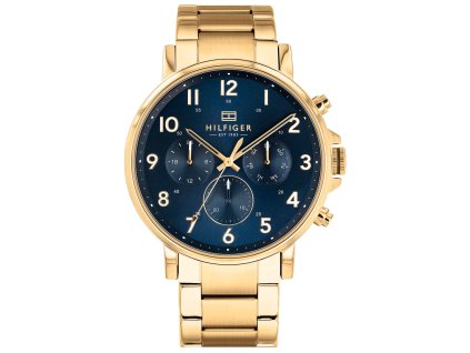 TOMMY HILFIGER DANIEL 1710384 2
