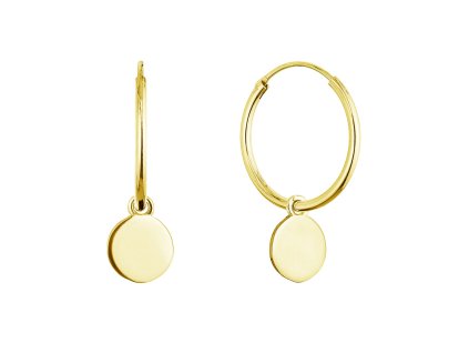 32630 2 32630 pozlacene stribrne nausnice kruhy s lesklou placickou 61058