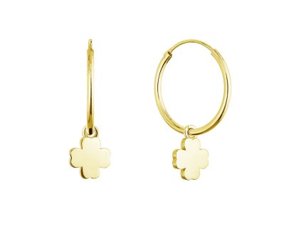 32624 2 32624 pozlacene stribrne nausnice kruhy se ctyrlistky 61057